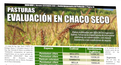 Pasturas, evaluación frente al déficit hídrico en el Chaco Seco.