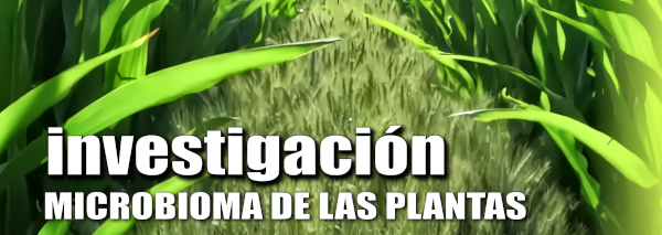La importancia del Bioma de las plantas para mejorar los rendimientos agrícolas.