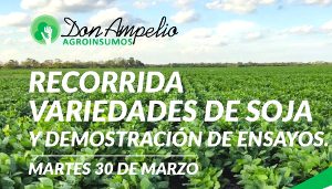 Jornada a campo sobre soja organizada por Agroinsumos Don Ampelio