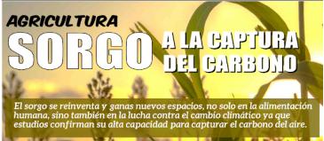 El sorgo a la captura del carbono, Revista Agropecuaria Nuevo Siglo, Marzo 2022