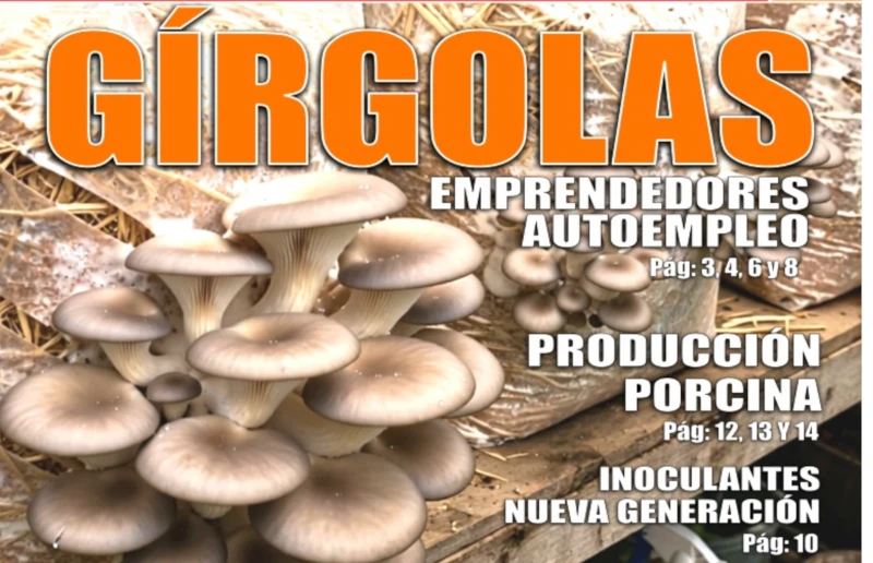 Revista Nuevo Siglo - Edición digital en PDF del mes de junio 2026
