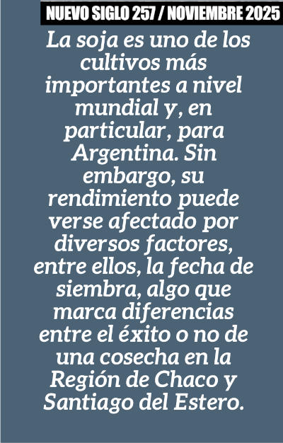 Estrategias para la siembra de soja, consejos del INTA Las Bre&ntilde;as, Chaco.