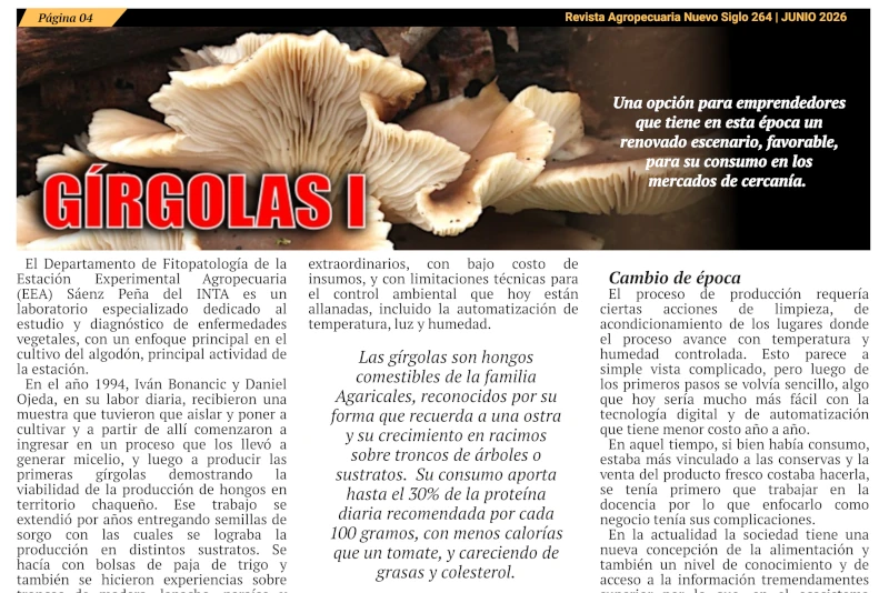 Gírgolas, producción de hongos comestibles