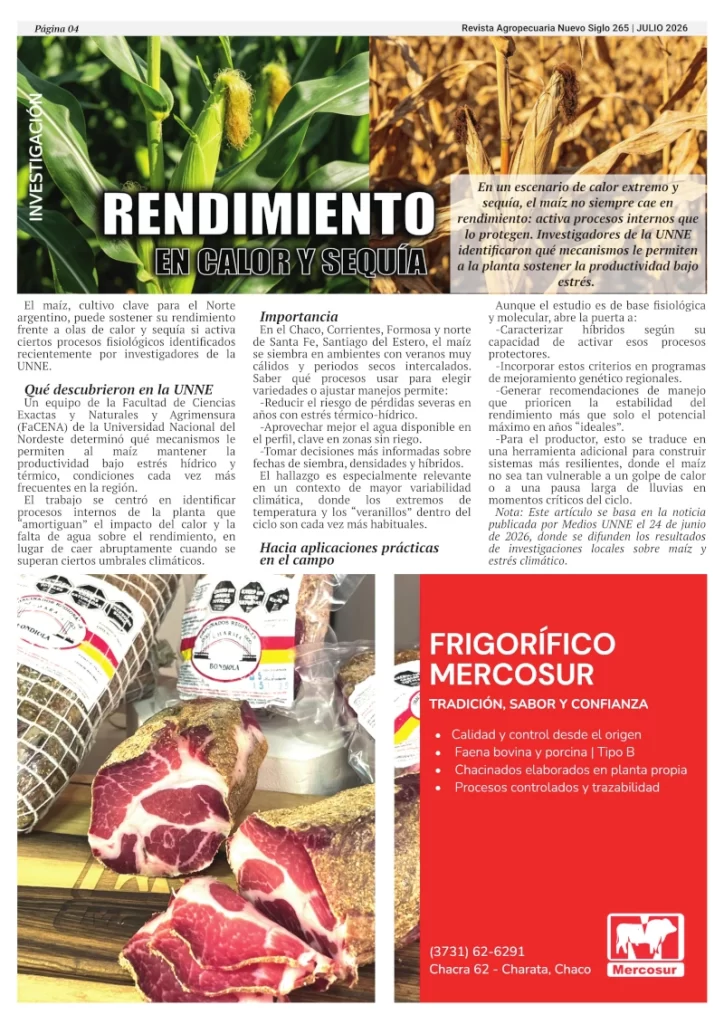 Revista Agropecuaria Nuevo Siglo Maíz, investigación de la UNNE