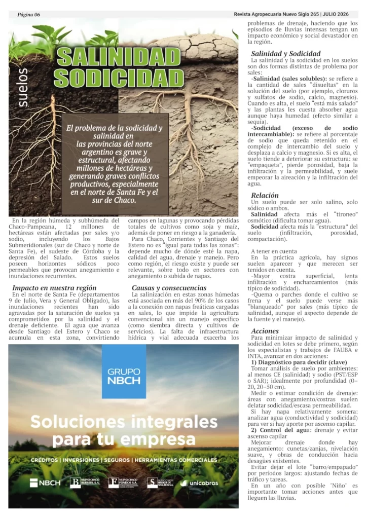 Salinidad y Sodicidad en los suelos del NEA.