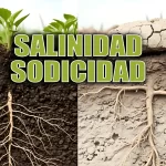 Salinidad y sodicidad en suelos