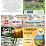 Revista Nuevo Siglo Agosto 2026, Página 02