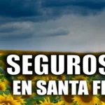 Situación de los seguros para girasol en santa fe