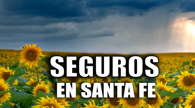 Situación de los seguros para girasol en santa fe