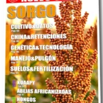 Tapa Nuevo Siglo Octubre 2026