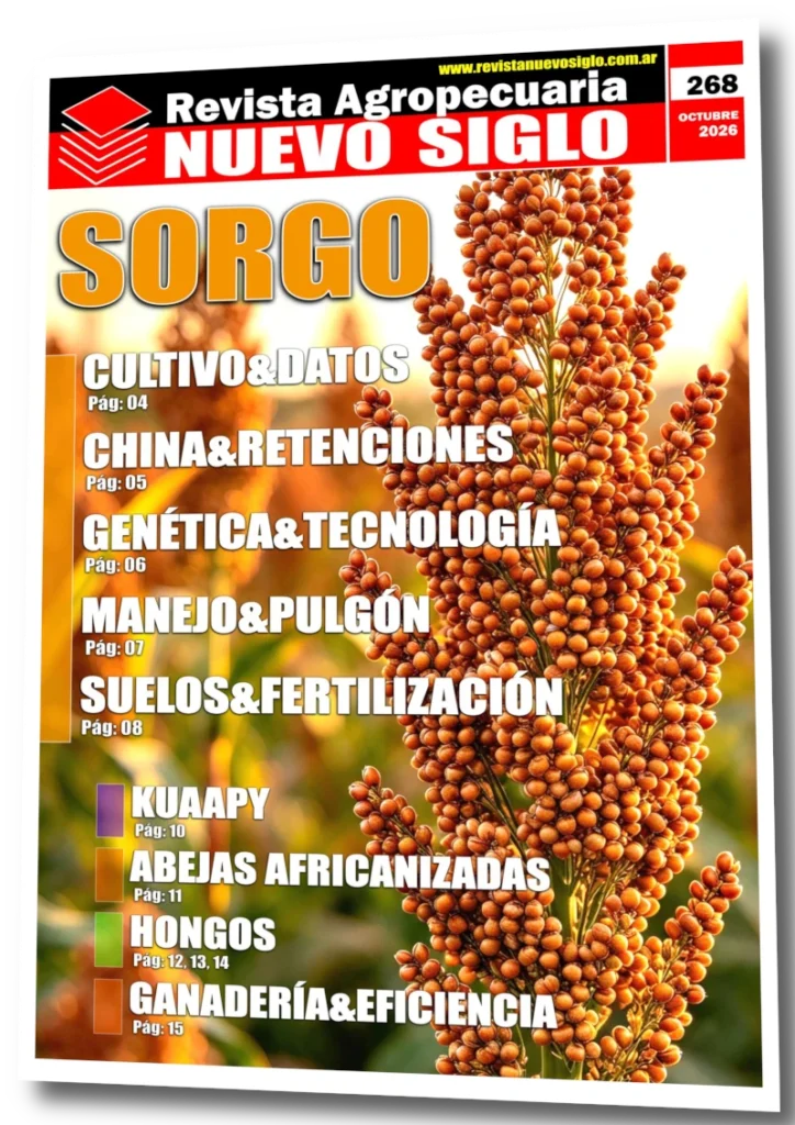 Tapa Nuevo Siglo Octubre 2026
