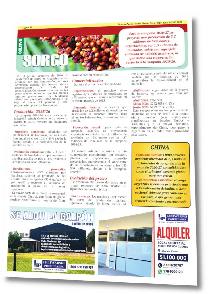 Sorgo 2026, Revista Agropecuaria Nuevo Siglo Octubre